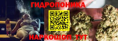 spice Гусь-Хрустальный