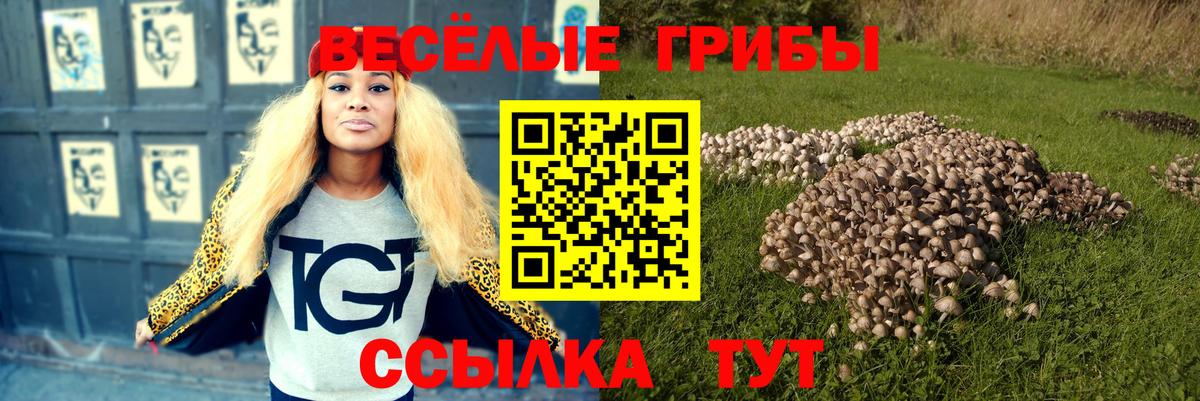Нижнекамск  Псилоцибиновые грибы Magic Shrooms  Вход с VPN  Псилоцибиновые грибы MAGIC MUSHROOMS 